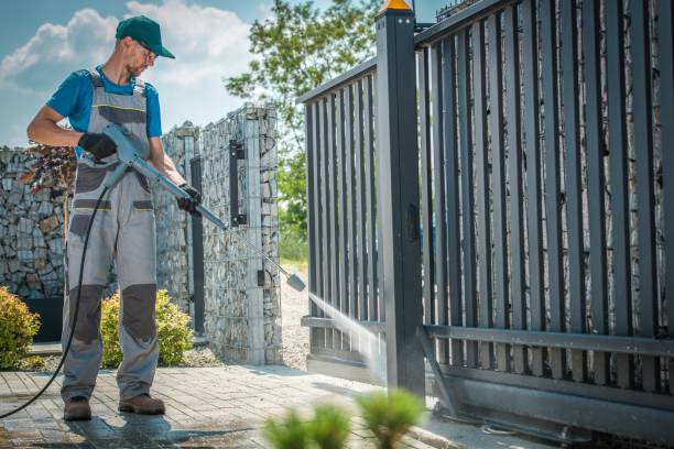 Best Roof Cleaning and Mildew Removal in Temple, GA